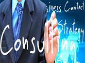 Consultancy and Security Auditse